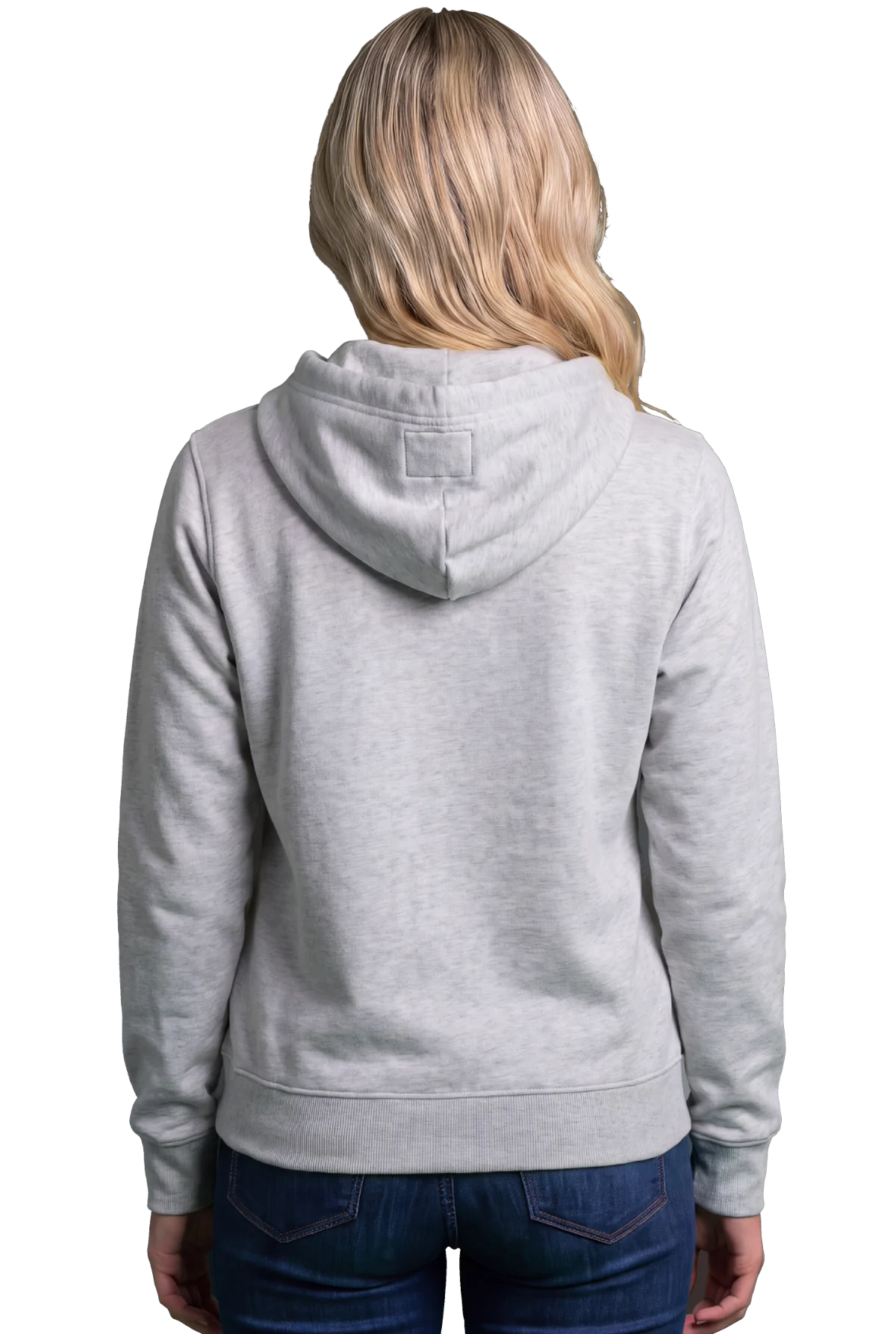 Fruit Fly Hoodie, Carbon Grey Chunk Chunk hoodie, mockup, back